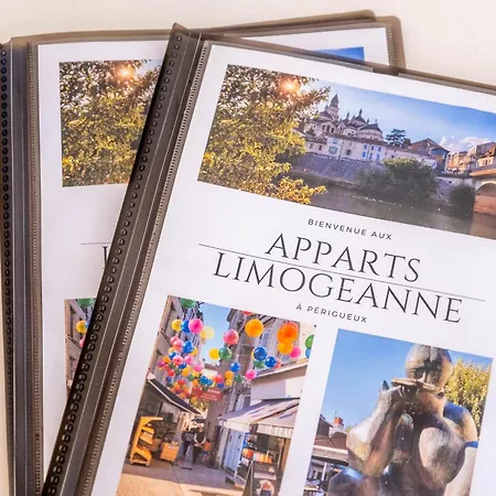 Apparts Limogeanne - Clim - Centre Historique Périgueux Exterior foto